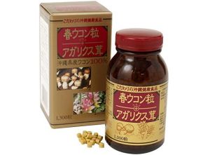 KANEHIDE BIO Весенняя куркума и Агарикус, 60 дней